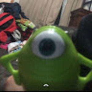 Meet your Posher, Maya